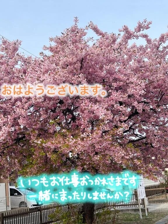 今日も…