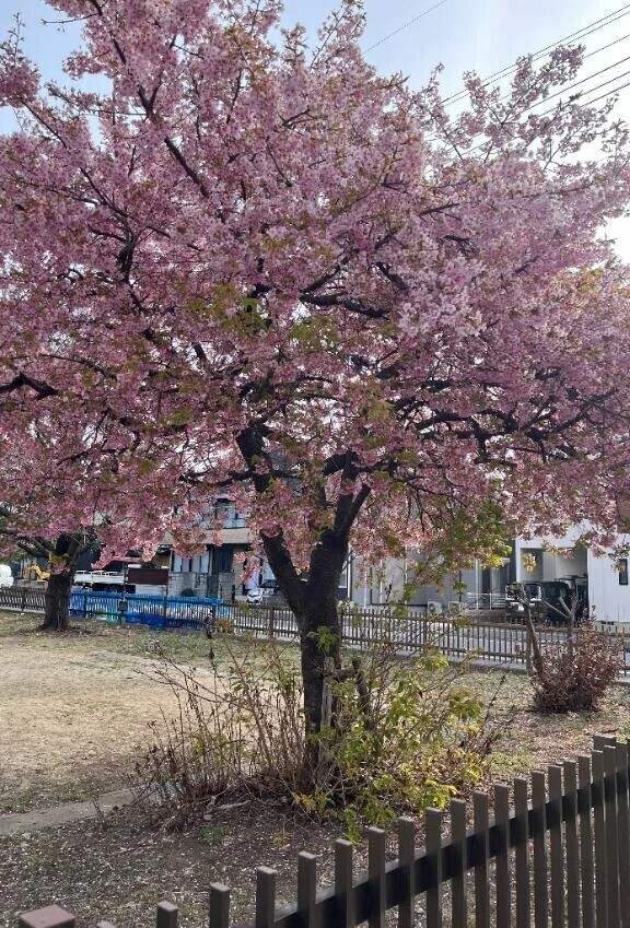 10:30～西川口のお兄様…