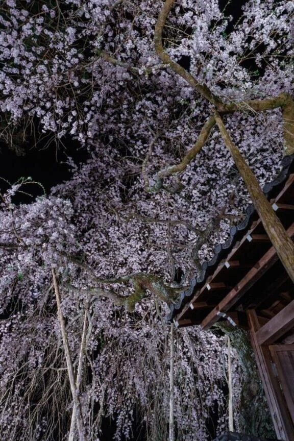 昨日のお礼と次回？