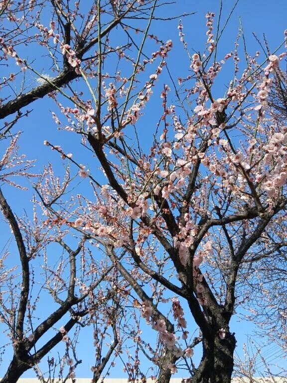 もうひと踏ん張り