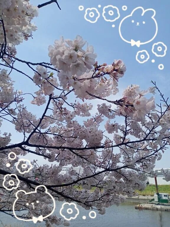 ありがとうございました。