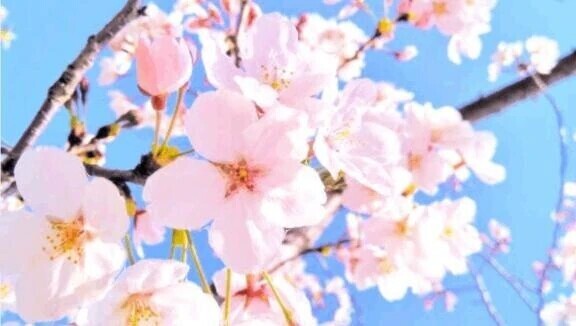 ＊4月に入りましたね🌸＊
