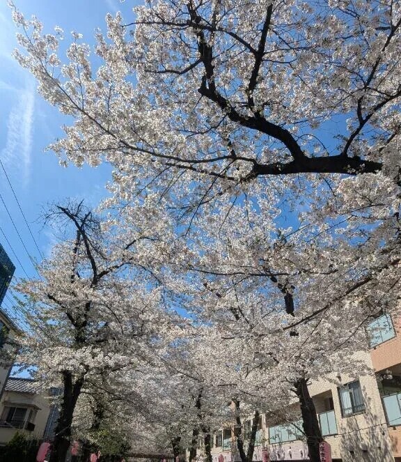 待ってま〜す😘