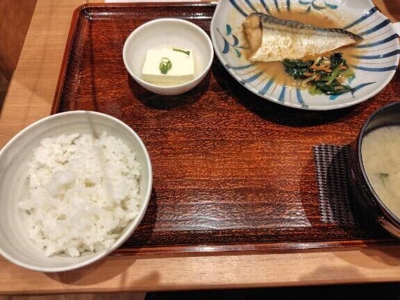 本日の夕飯🍚