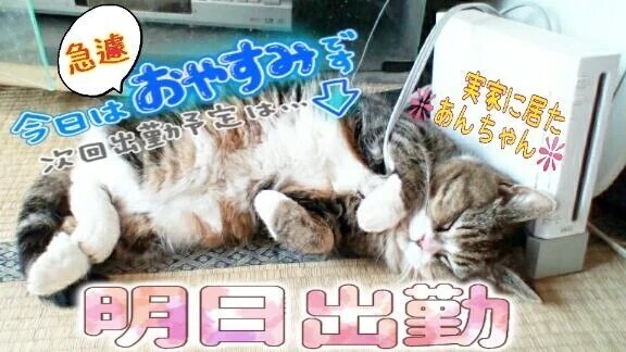 急遽お休み😢