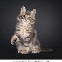 ありがとうございました☺️