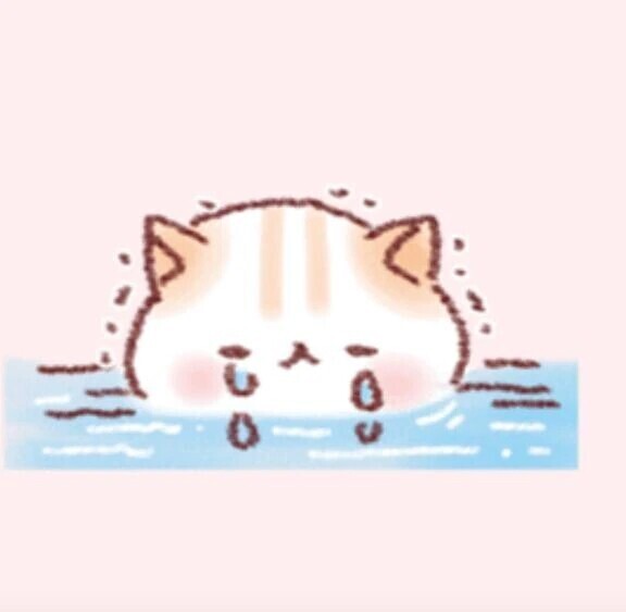 お休みします