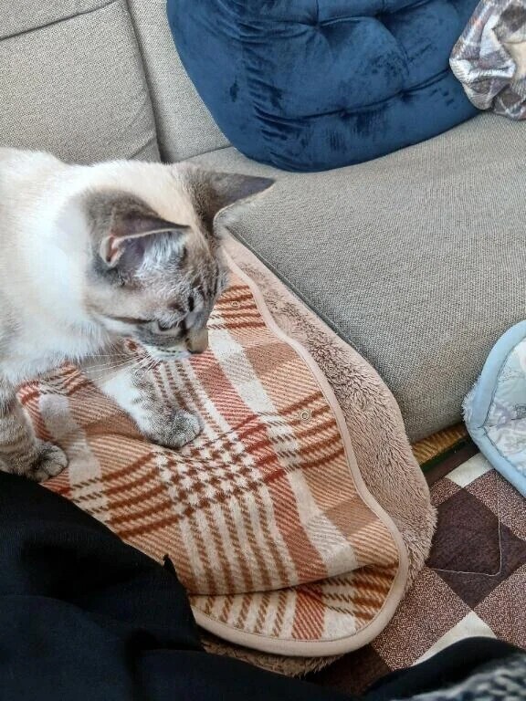 ただいま