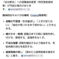 ムーアちゃんの転職日記10✨