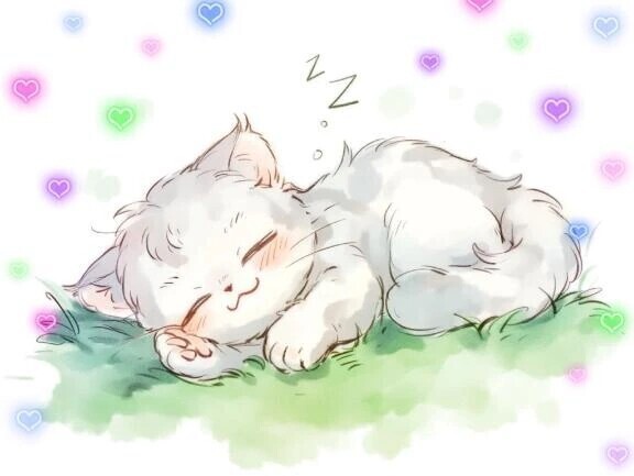 ありがとうございました🐱