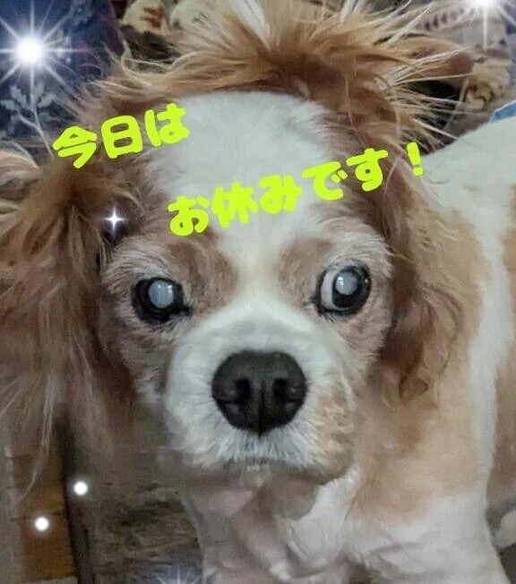 ！！オーマイゴッ！！