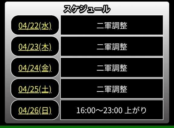 日曜日出勤予定