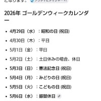 ムーアちゃんの転職日記14✨