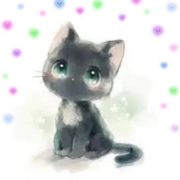 昨日のお礼💌です