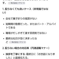 ムーアちゃんの転職日記16✨