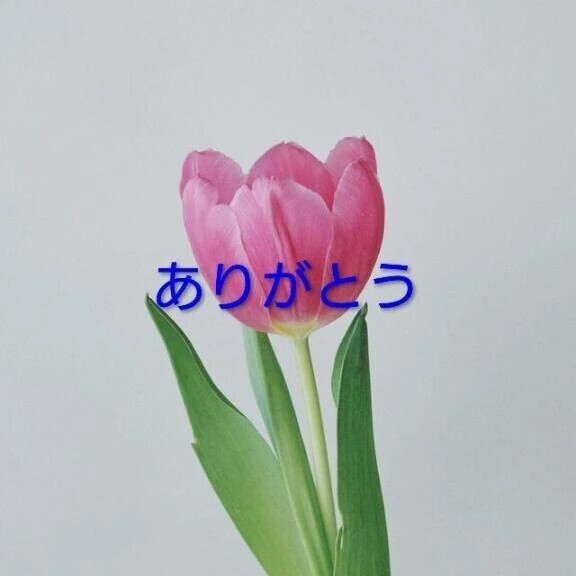 おはようございます。
