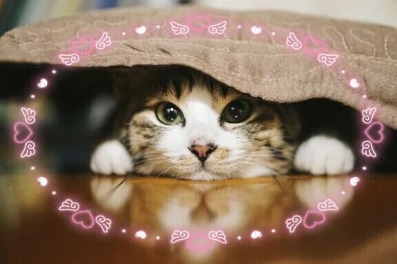 昨日のお礼💌です