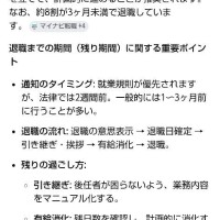 ムーアちゃんの転職日記19✨