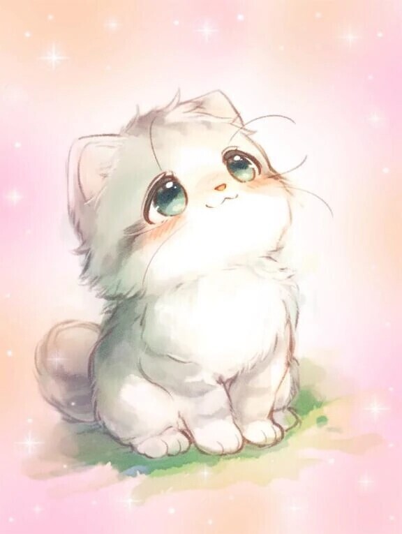 ご予約ありがとうございます🐱