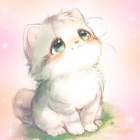 ご予約ありがとうございます🐱