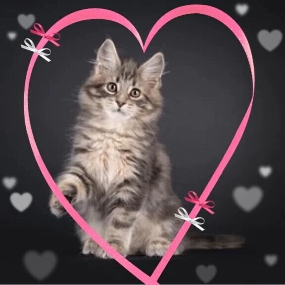 昨日のお礼💌です