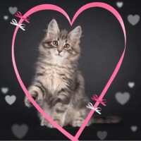 昨日のお礼💌です