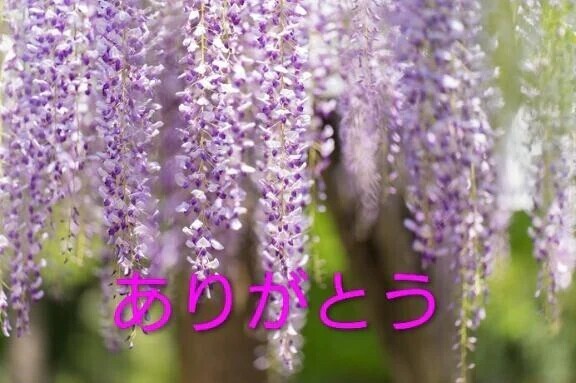 お礼