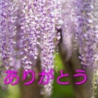 お礼