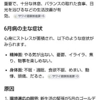 ムーアちゃんの転職日記21✨