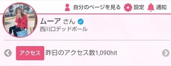 昨日の日記アクセス数🎊