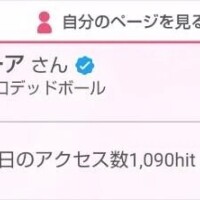 昨日の日記アクセス数🎊