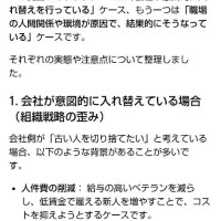 ムーアちゃんの転職日記23✨