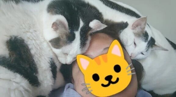 おはようございます。