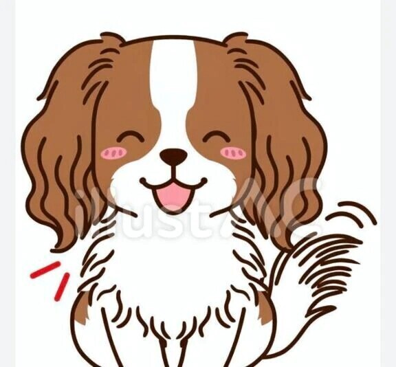 いってらっしゃい🌞