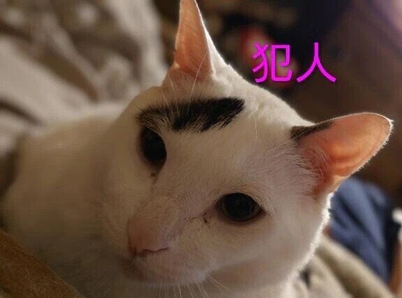 お礼