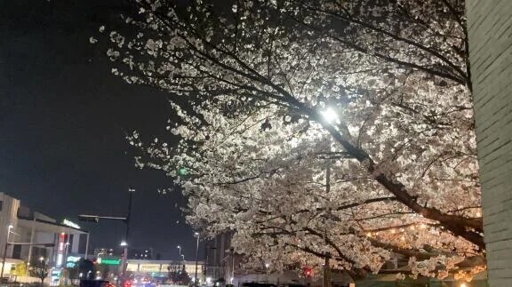 申し訳ありません、、、（ ;  ; ）