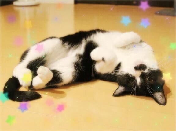 昨日のお礼💌です