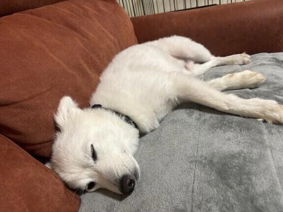 台風（ ;  ; ）