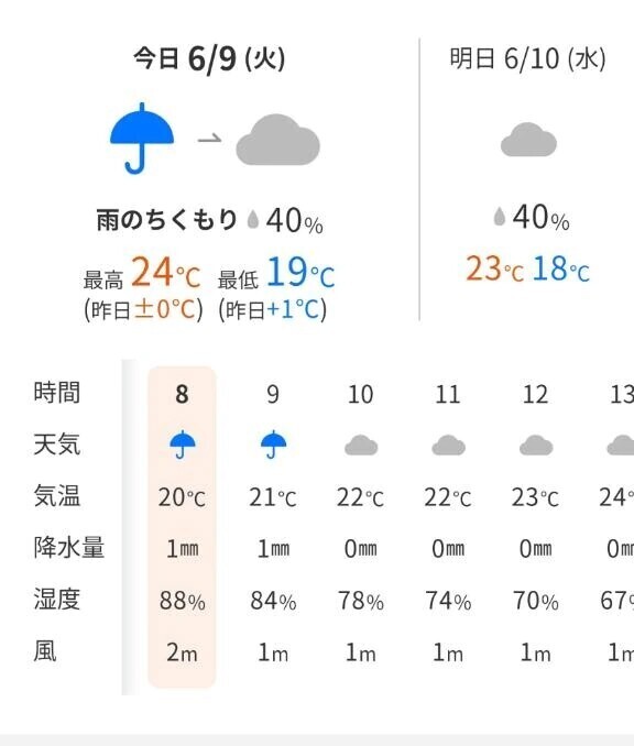 今日も雨☔