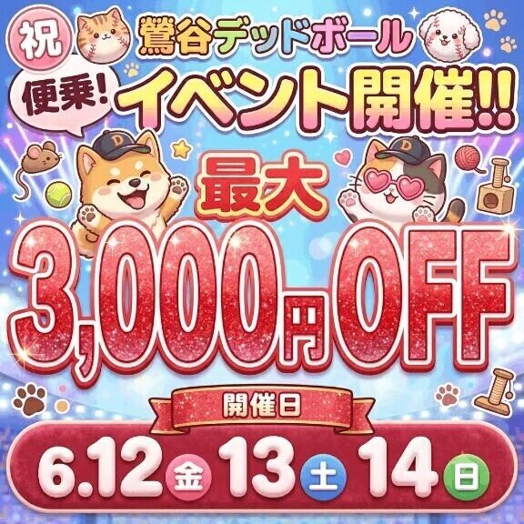 最近のもろもろ