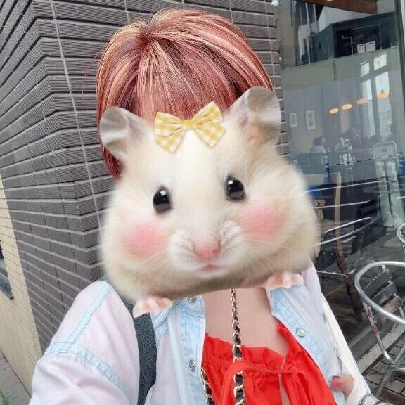 変えた🙈