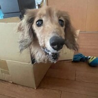浅井