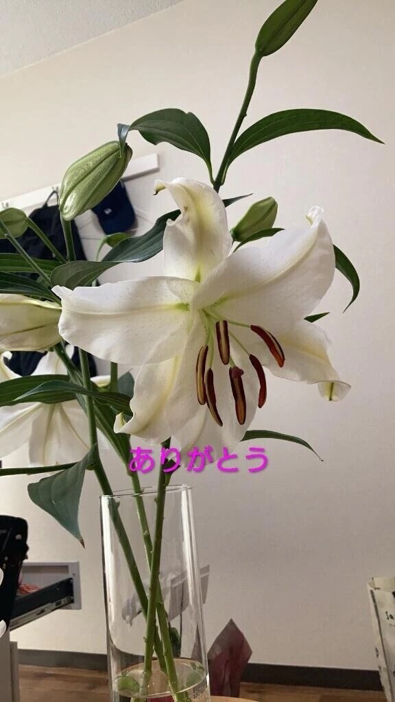 イベント2日目終了