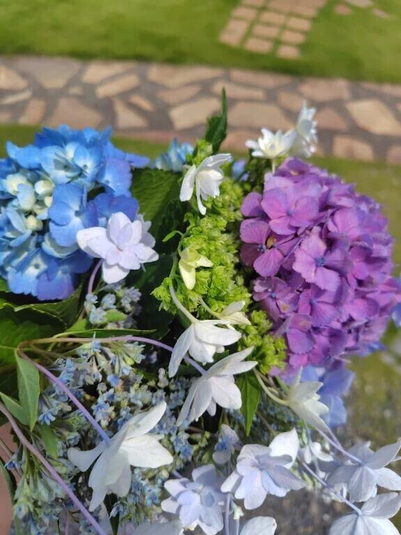 お墓参り🌷