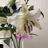 お礼