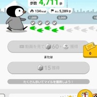 トリマ🏃