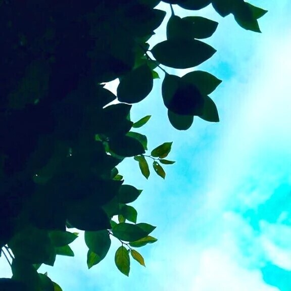 🍀今日のお礼🍀