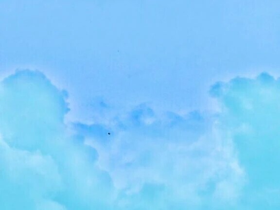 🔆本日出勤日🔆
