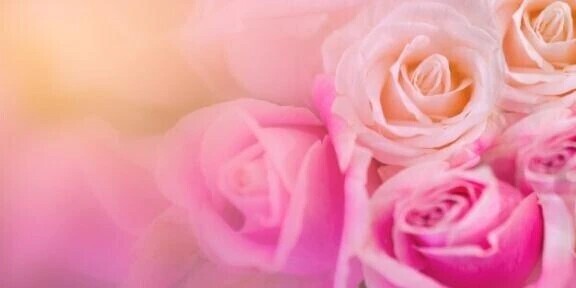 向かってます♡