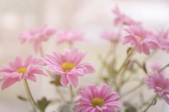 います！